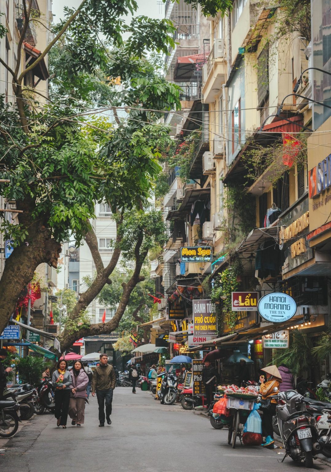 Guide complet 3 semaines au Vietnam Nos Curieux Voyageurs