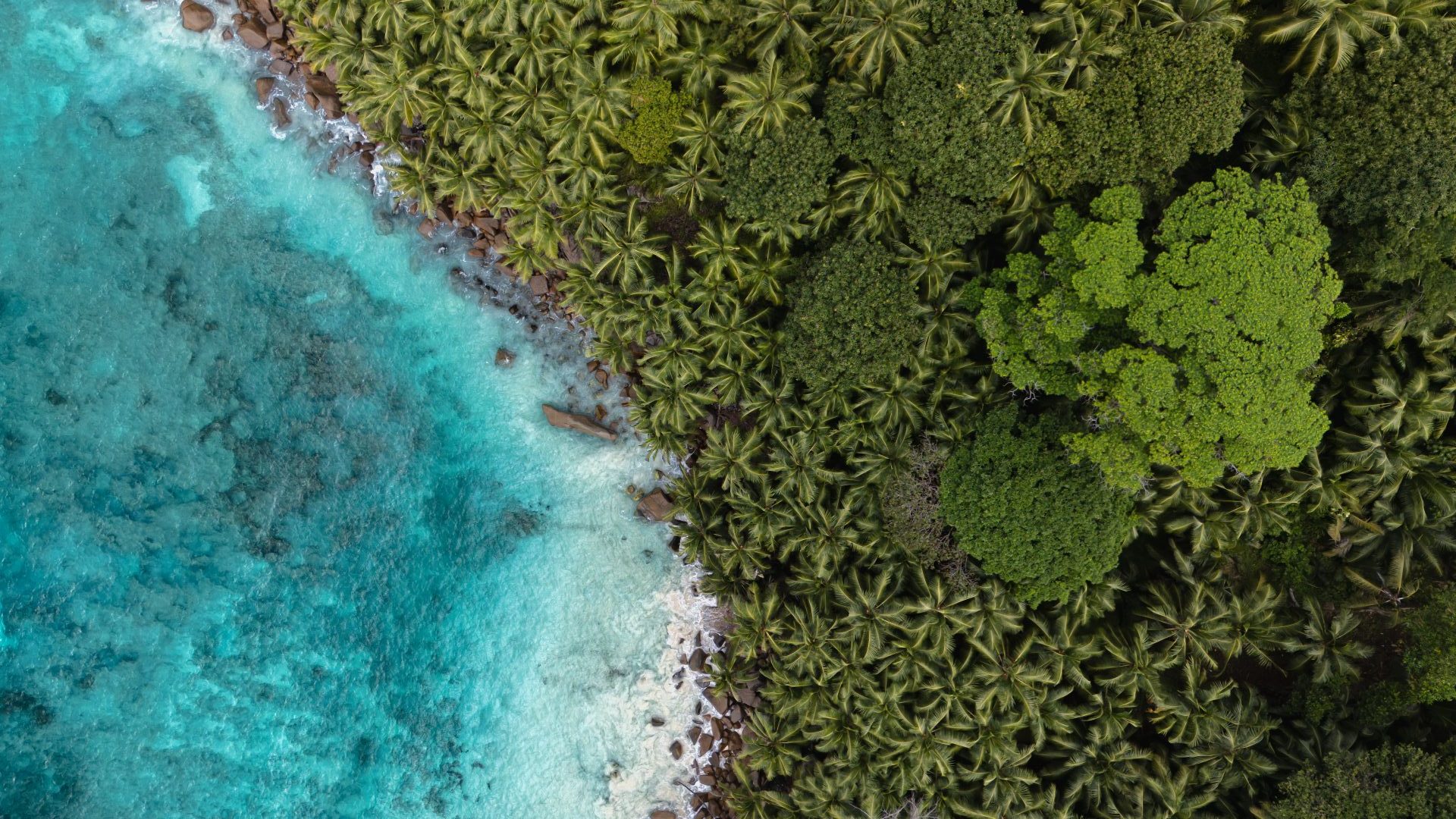 DJI_20260809112710_0012_D